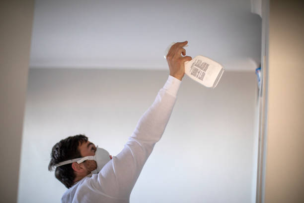 Best Kitchen Mold Remediation in Butner, NC